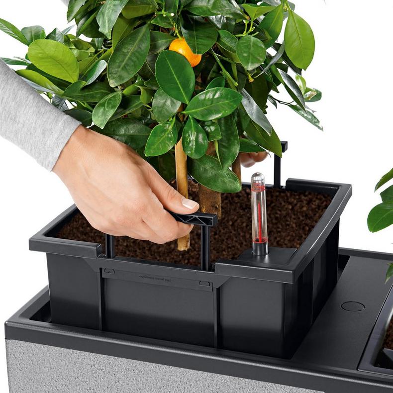 le_trio-stone_product_addi_liner